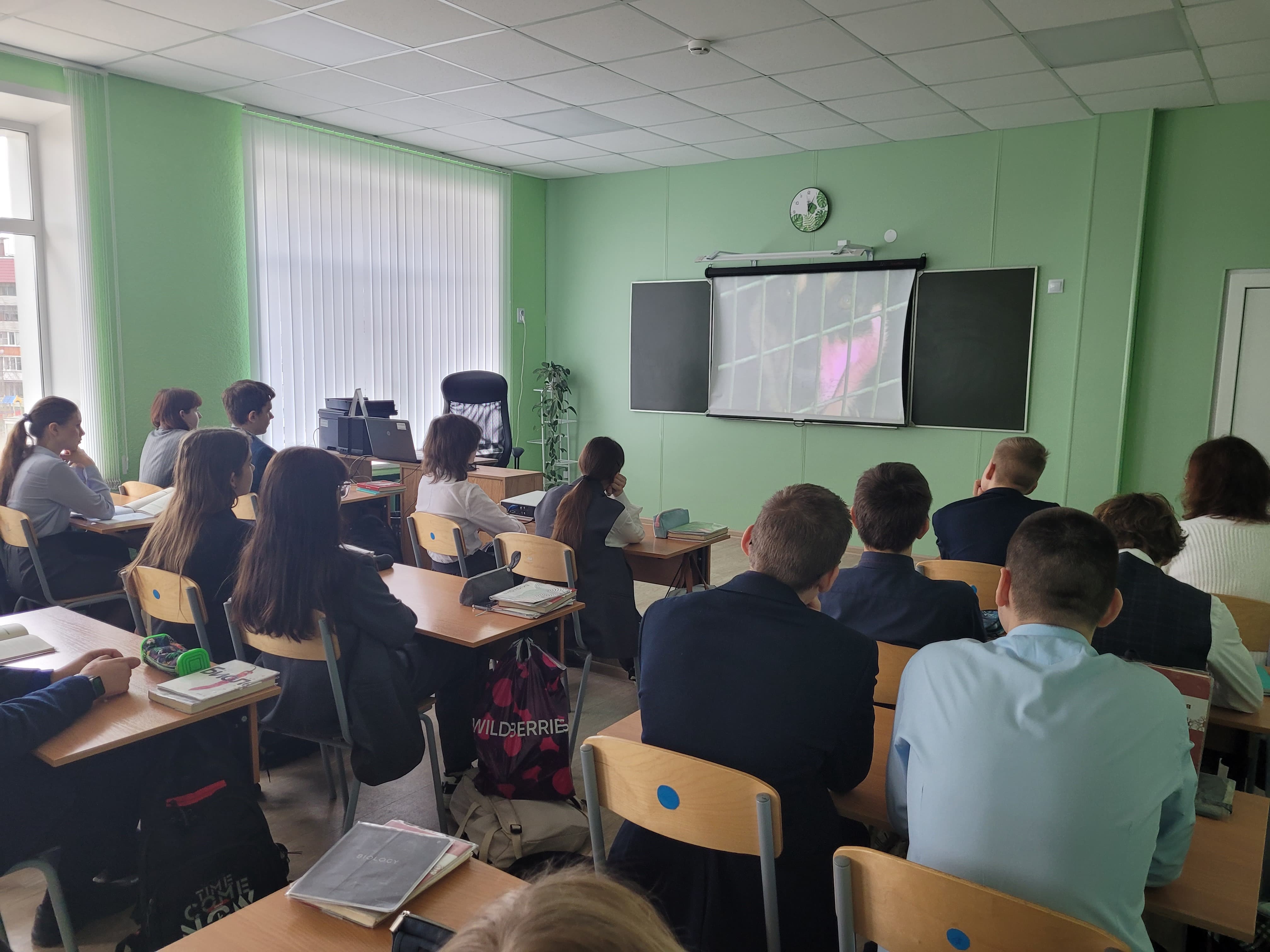 Как начать жить экологично.